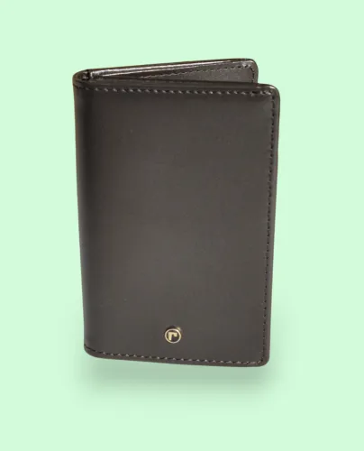 Roamer of Switzerland leather wallet Brown